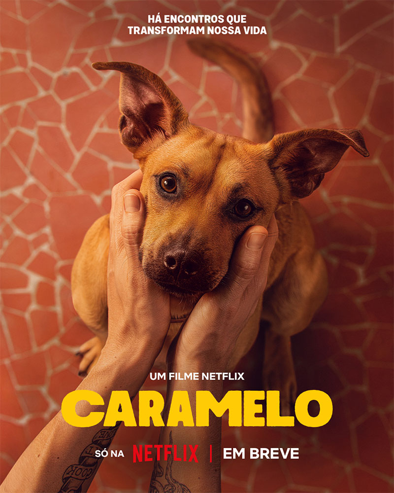 Pôster oficial do filme brasileiro 