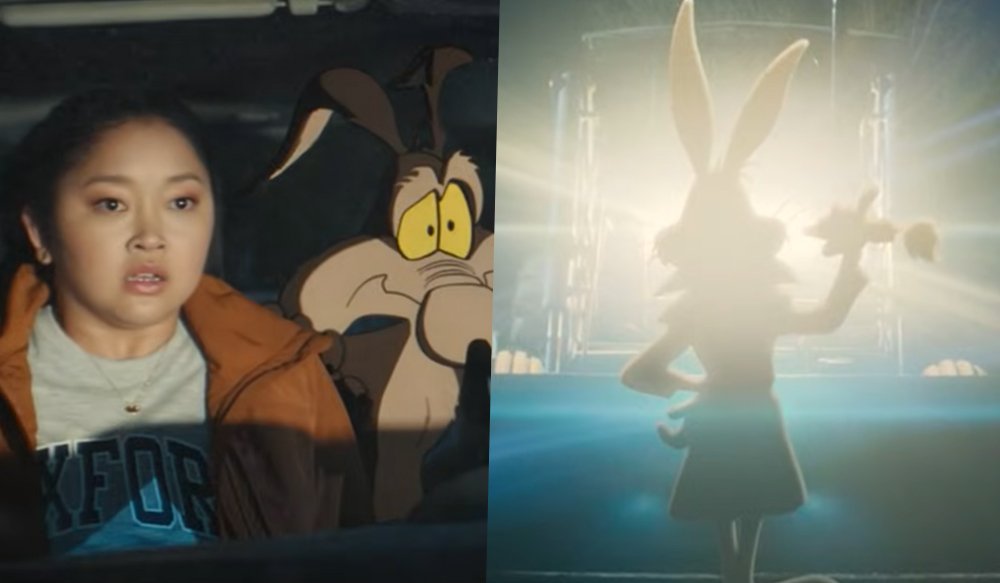 Coyote Vs. Acme